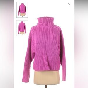 Zara chunky knit turtleneck